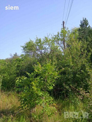 Дворно място/ Парцел 1000 кв.м, снимка 13 - Парцели - 33885672