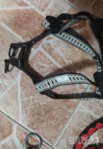 Нашийник против лай за куче, снимка 15 - За кучета - 47319572