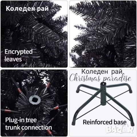 Черна елха Енигма с тънък клон , снимка 3 - Декорация за дома - 52353376