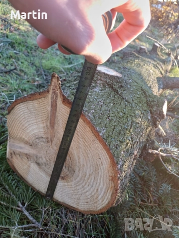 Борови трупи 3 броя - София, снимка 2 - Дърва за огрев - 52410874