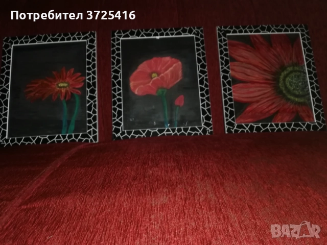 Картини "Цветя", комплект от 3 броя, всяка една с размери 23,5/28,5 см. Рамките са включени в цената