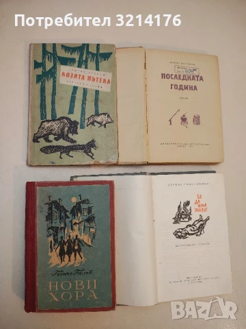 Последната година - Бончо Несторов, снимка 2 - Българска литература - 50971298