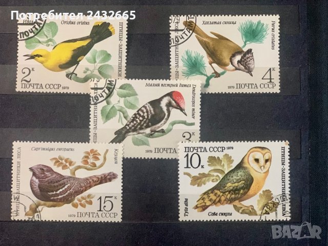 1153. СССР 1979 = “ Фауна. Птици ” , снимка 1