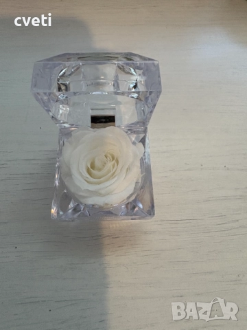 Вечна роза в кристална кутия , снимка 10 - Градински цветя и растения - 48969850