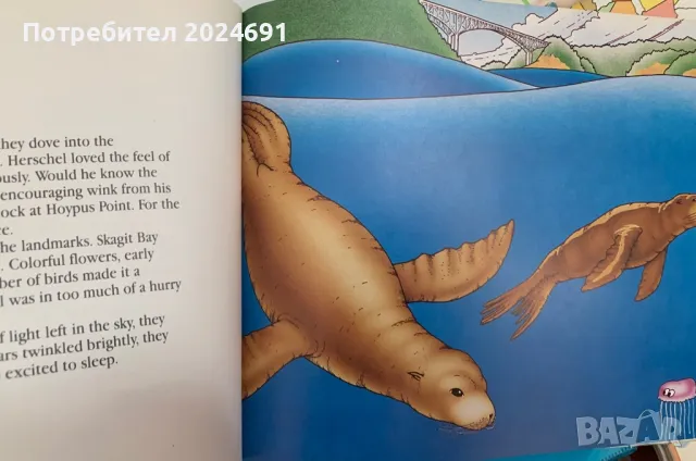 Herschel’s special dream by Kristin Gay, снимка 5 - Детски книжки - 47846984