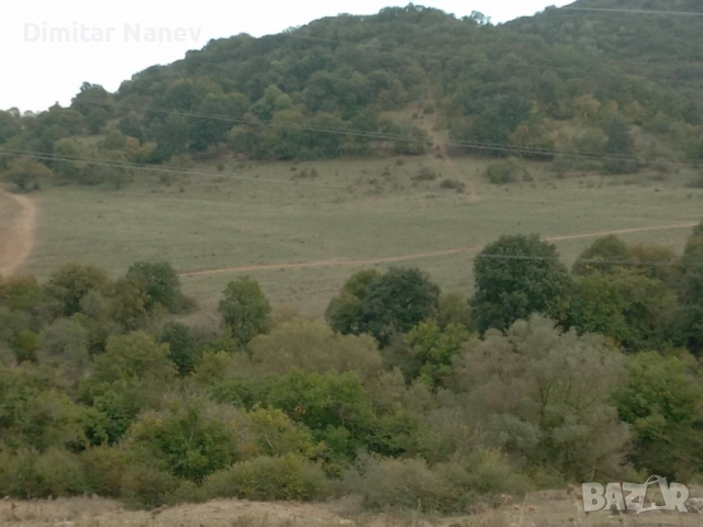 Продавам нива, с. Змейово, област Стара Загора, снимка 3 - Земеделска земя - 52054903