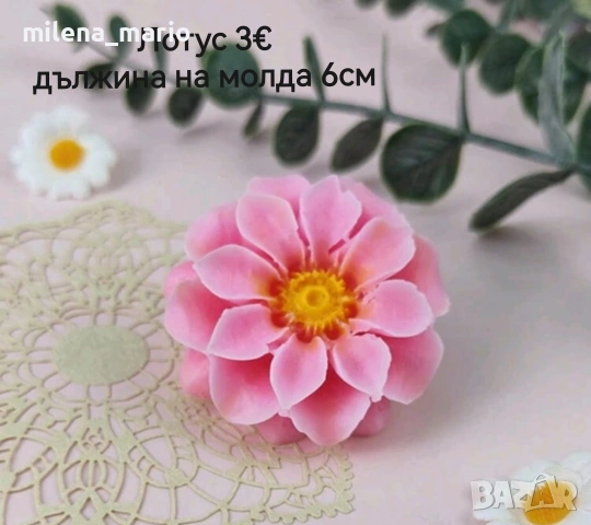 нови молдове , снимка 4 - Други - 53471728