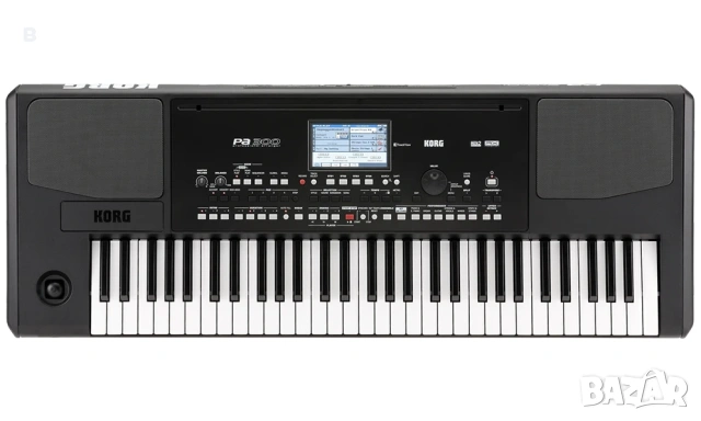 Korg pa300
