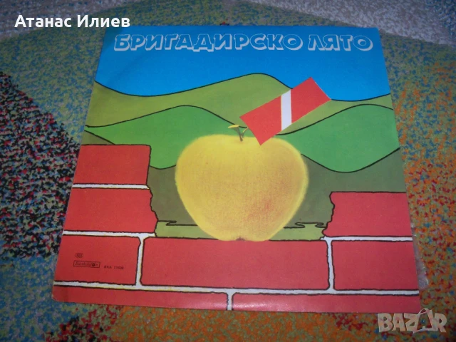 Бригадирско лято, ВХА 11408 , 1984г., снимка 1