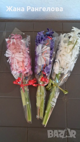 Продавам букети зюмбюл  ,три цвята , снимка 2 - Градински цветя и растения - 53648377