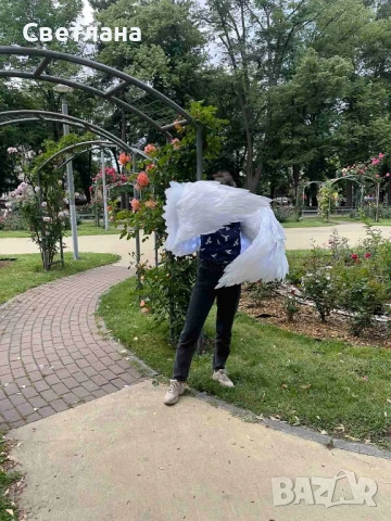 Светещи крила за танци, фотосесии и шоу программи , снимка 4 - Други - 50512484