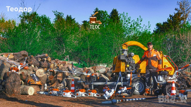 Рязане на опасни дървета и почистване на дворове – Варна, снимка 8 - Хамалски услуги - 53670302