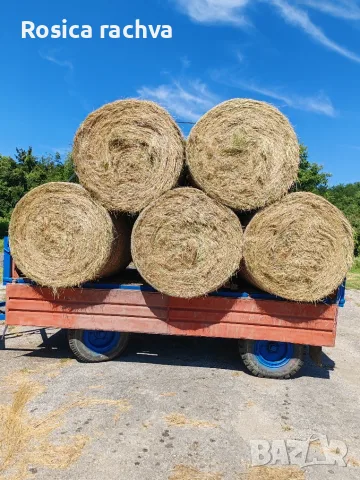 Продавам ролонни бали ливадно сено. Тел. 0883404443.