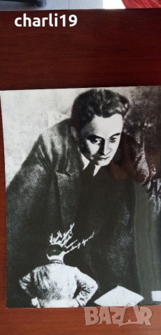 соц снимки на Георги Димитров лот от 22 бр. по договаряне, снимка 8 - Други ценни предмети - 33820978