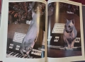 Енциклопедия на котките / The Encyclopedia of Cats, снимка 12