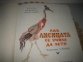 Как лисицата се учила да лети - 1974 г., снимка 3