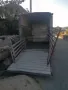 Рамарке за животни специализирано за овце но подходящо за крави и коне телета, снимка 2