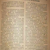 Звено. Кн. 1-40 / 1933 г- Димо Казаков, снимка 2 - Списания и комикси - 36285375