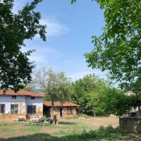 Два броя УПИ съединени в един имот в село.Белопопци , снимка 8 - Къщи - 42968953