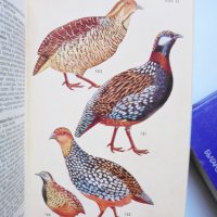 Книга The Book of Indian Birds - Salim Ali 1964 г. Птици, снимка 4 - Други - 34377952