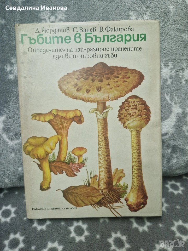 Гъбите в България, снимка 1