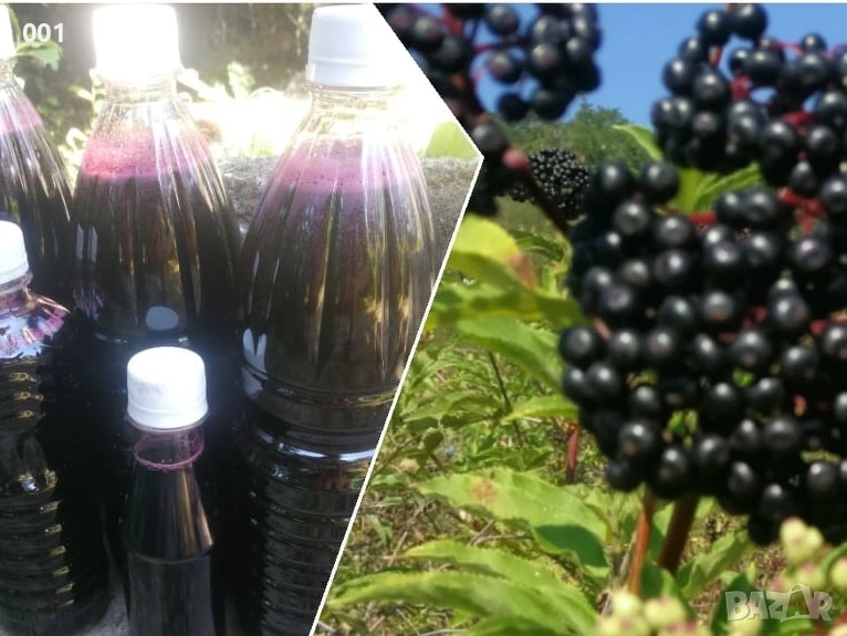 Супербилката Черен Бъз / бъзак /, снимка 1