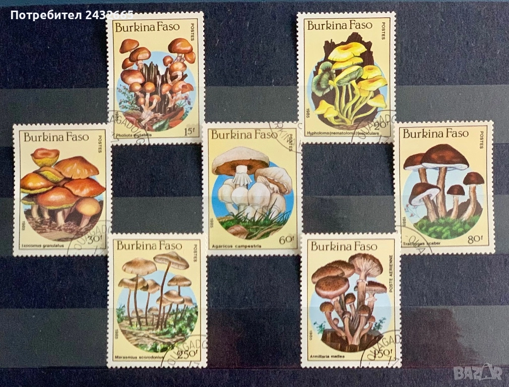3760. Буркина Фасоб 1985 - “ Флора. Гъби. “, CTO, снимка 1