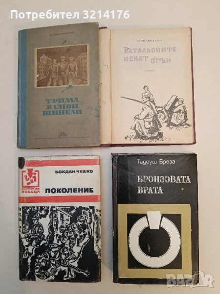 Бронзовата врата - Тадеуш Бреза, снимка 1