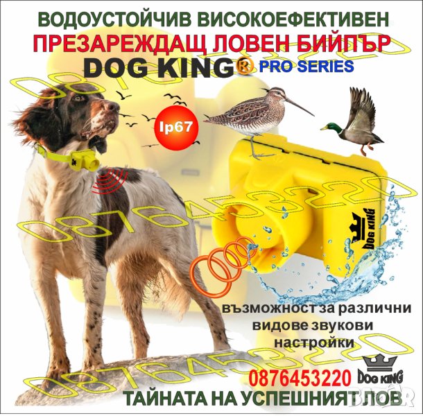 Електронен нашийник Бийпър за ловно куче DOG KING , презареждащ , водоустойчив, снимка 1
