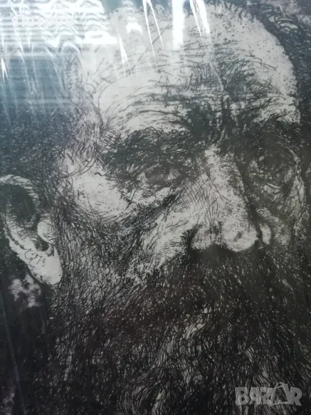 Графика- портрет на Лев Толстой, снимка 1