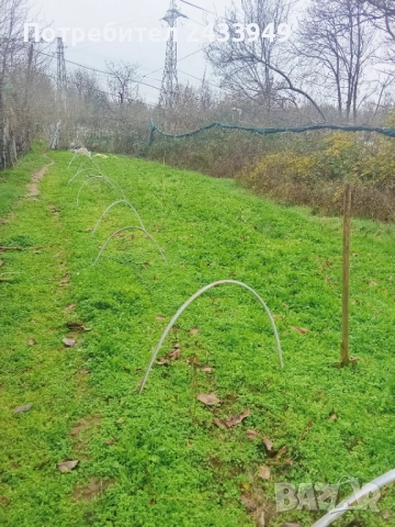 Продавам рукола био