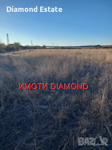 Земеделска земя в село Радиево общ. Димитровград, снимка 4 - Земеделска земя - 47924561