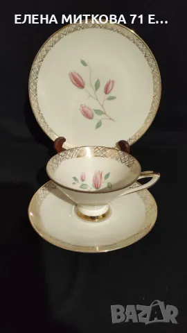 Winterling Roslau Bavaria един много фин и нежен троен сет за чай/дълго кафе, снимка 1