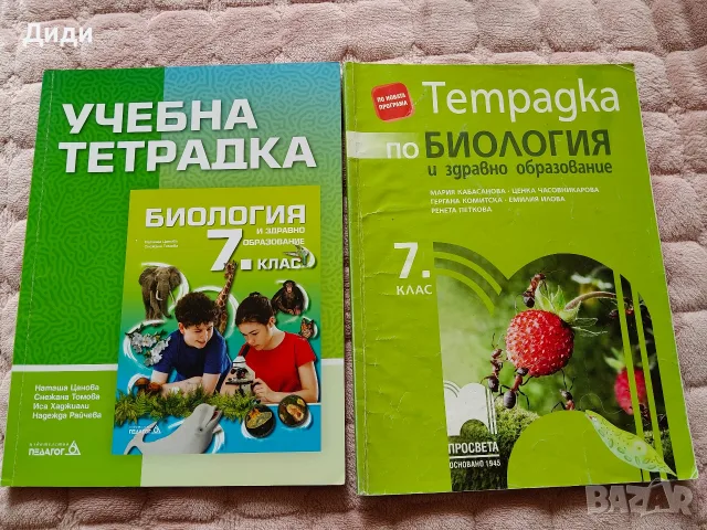 Помагала за 7 клас, снимка 7 - Учебници, учебни тетрадки - 40680488