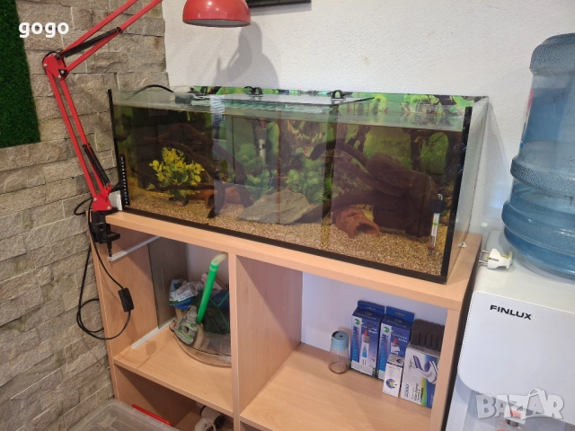 Три  Аквариума , снимка 7 - Аквариуми - 50487180