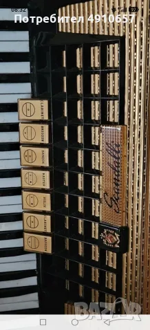 Акордеон Scandalli Made in Italy, снимка 3 - Синтезатори - 56171529