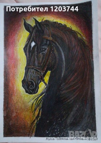 Картини с коне (молив) , снимка 3 - Картини - 27450295