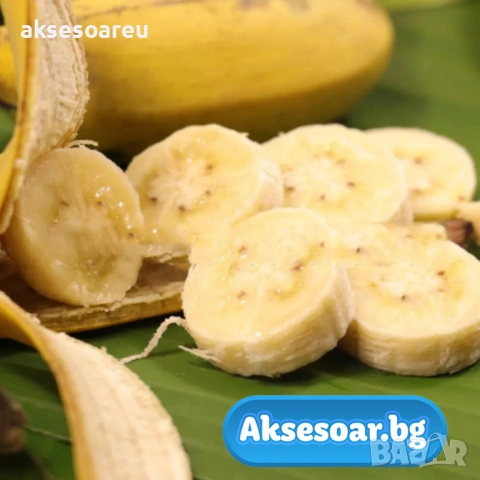 50 бр. Семена от Бонсай бананово дърво екзотични редки плодове палма за декорация на градината, снимка 6 - Сортови семена и луковици - 53258880