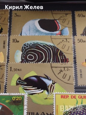 Пощенски марки две серии ЕКВАТОРИАЛНИ РИБИ ПЕРФЕКТНИ за КОЛЕКЦИЯ 37885 , снимка 5 - Филателия - 40476455