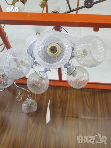 Полилей, снимка 3 - Полилеи - 41977103