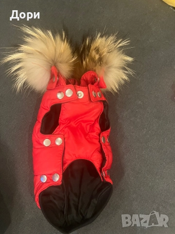 Кучешко якенце