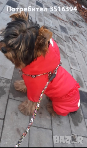 Дрехи за малки кучета, снимка 2 - За кучета - 52323853
