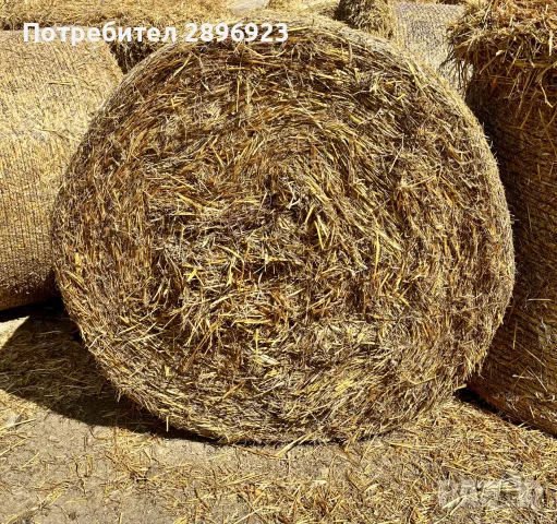 Ролонни Бали Овес и Фий