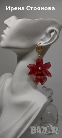 Обеци с естествен цвят на мини орхидея Miltonia. Цветче с размери 5/4,5 см. , снимка 11 - Обеци - 51090714