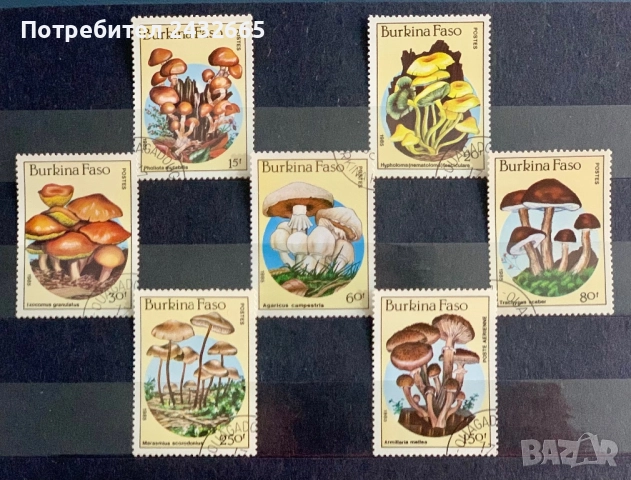 3760. Буркина Фасоб 1985 - “ Флора. Гъби. “, CTO