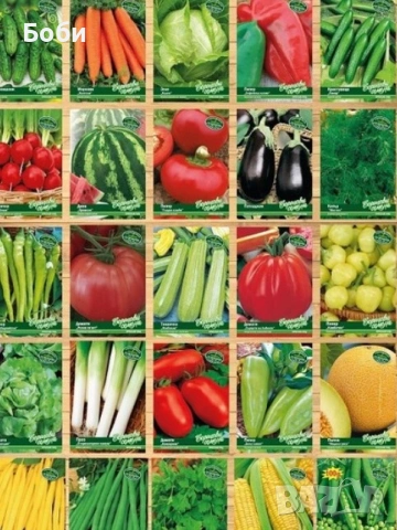 Семена за зеленчуци