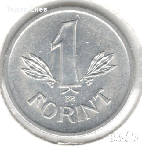 Hungary-1 Forint-1989 BP.-KM# 575, снимка 1 - Нумизматика и бонистика - 44589087