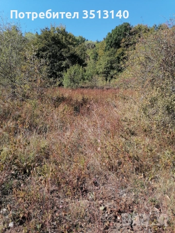 Парцел с. Панчарево, София, снимка 16 - Парцели - 51669556
