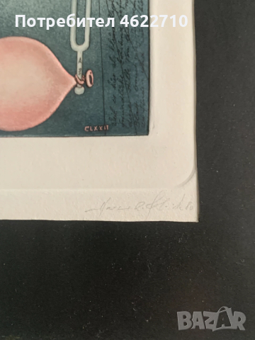 картина отпечатък , снимка 4 - Картини - 53306684