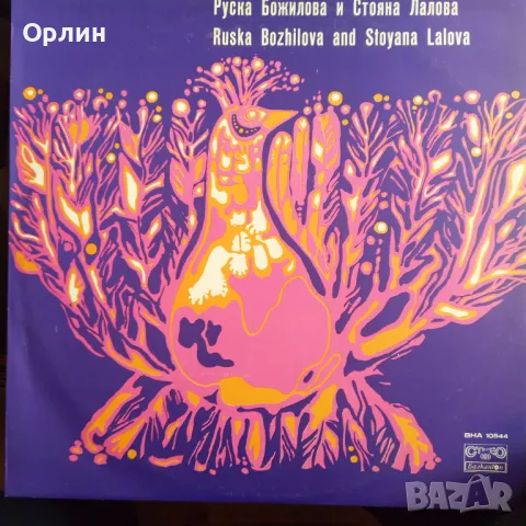 Грамофонни плочи - народна музика 3, снимка 8 - Грамофонни плочи - 49664947